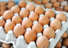 Как изменились цены на яйца за год в Свердловской области