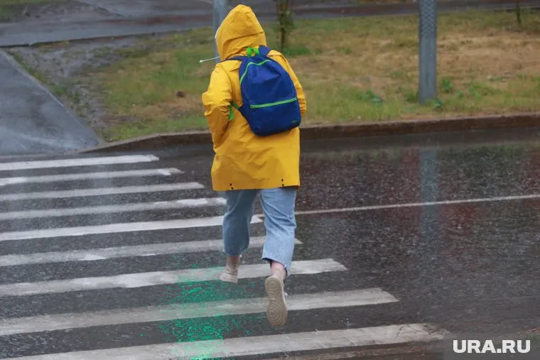 Сильный дождь накроет тюменцев ночью 31 августа