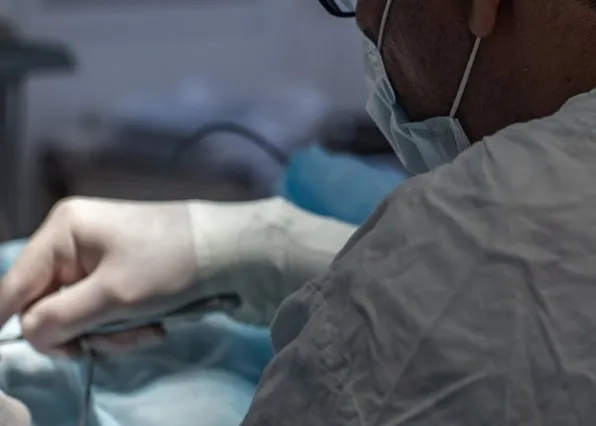 Фотография из галереи