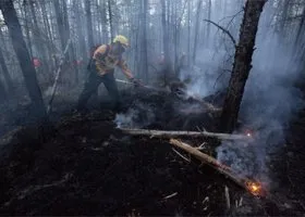 Чиновников хотят обязать возмещать ущерб за лесные пожары