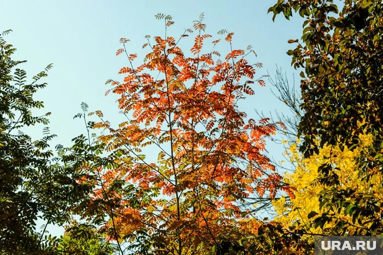 В Москве погода осенью будет соответствовать норме