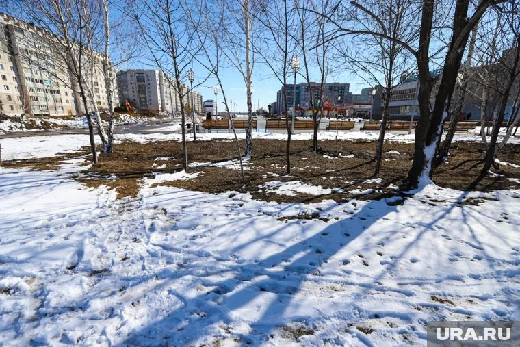 В выходные в Тюмени будет солнечно и без осадков