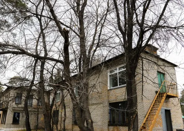 Фотография из галереи