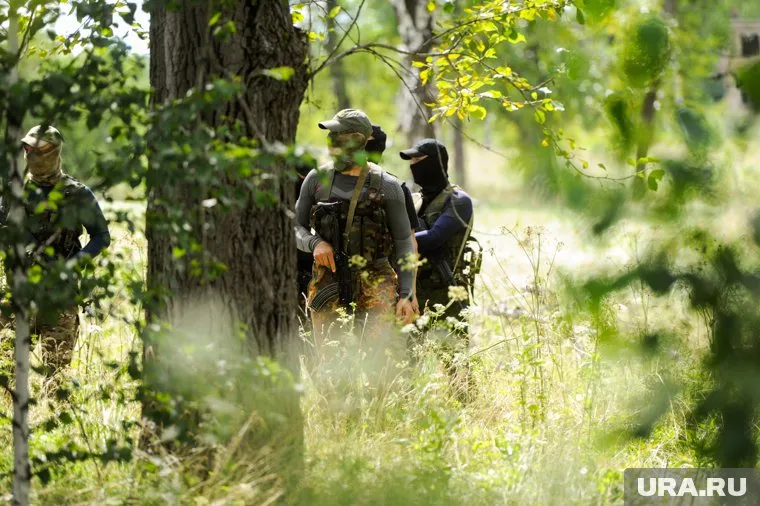 ВС РФ уничтожают диверсантов в лесных массивах