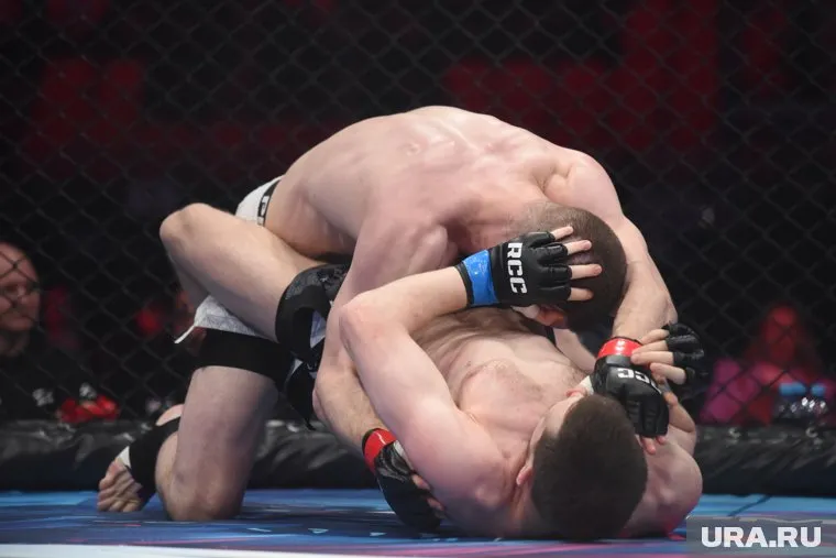 На ринге Дворцов оказался сильнее Зеленски