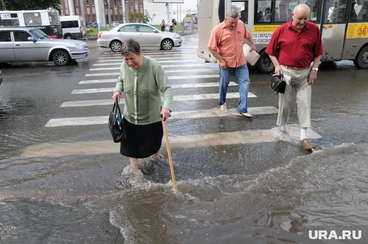 Москвичей просят не подходить к деревьям