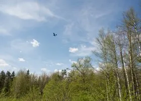 Власти Татарстана выступили с официальным заявлением после падения БПЛА