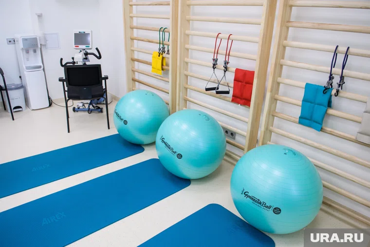 Шведская стенка упала вместе с учащимся, когда тот выполнял упражнение (архивное фото)