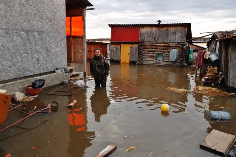 Звериноголовское. Курган