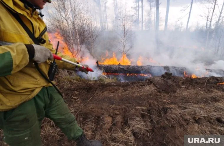 В тушении участвуют десятки спасателей (фото из архива)