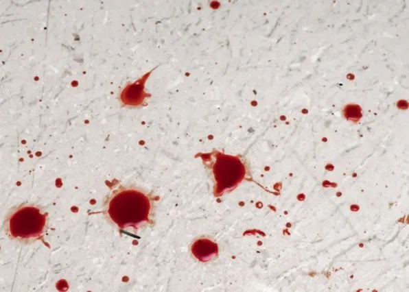 Фотография из галереи