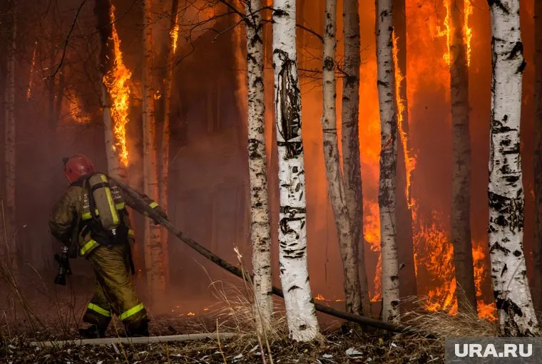 Федеральные чиновники похвалили организацию тушения лесов в ХМАО