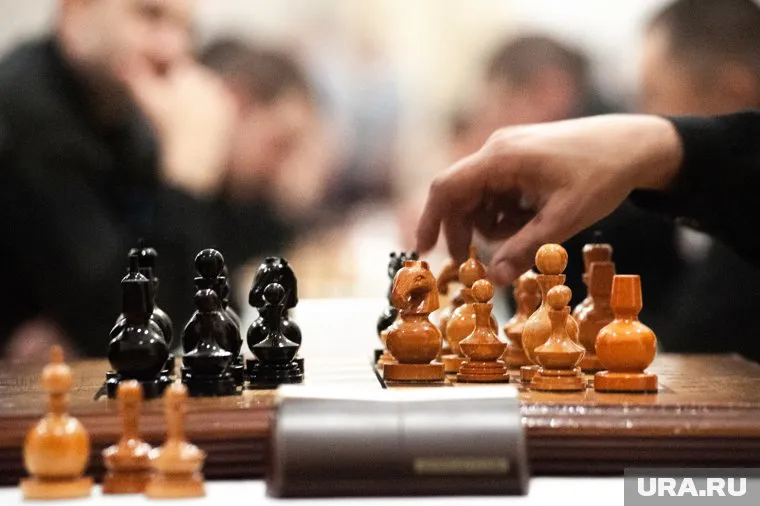 Школьники будут изучать основы шахматной игры в начальных классах