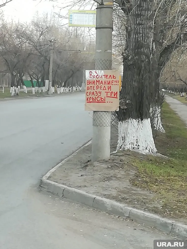 Знак появился возле курганского аэропорта