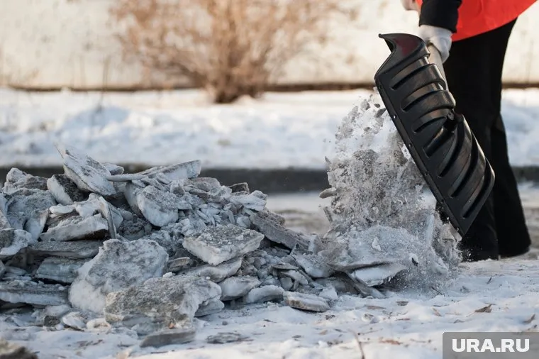 Глава города потребовал наказать тех, кто отправил учителей убирать снег в мороз