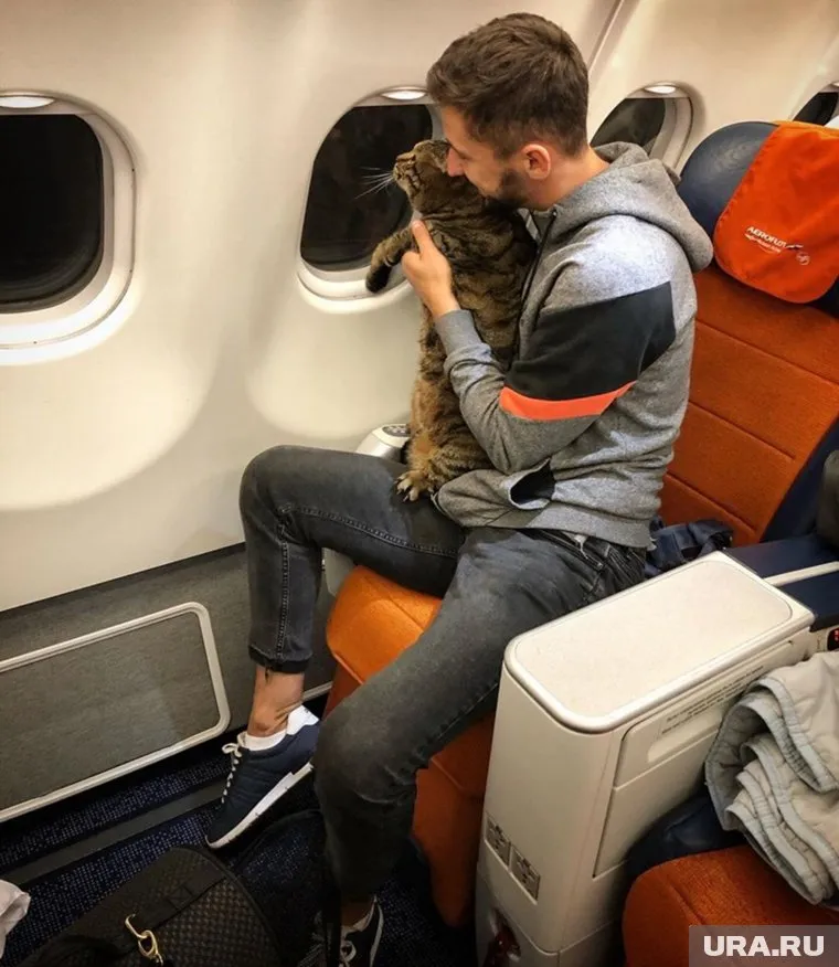 Михаил Галин не хотел сдавать кота в багаж, так как волновался за его здоровье