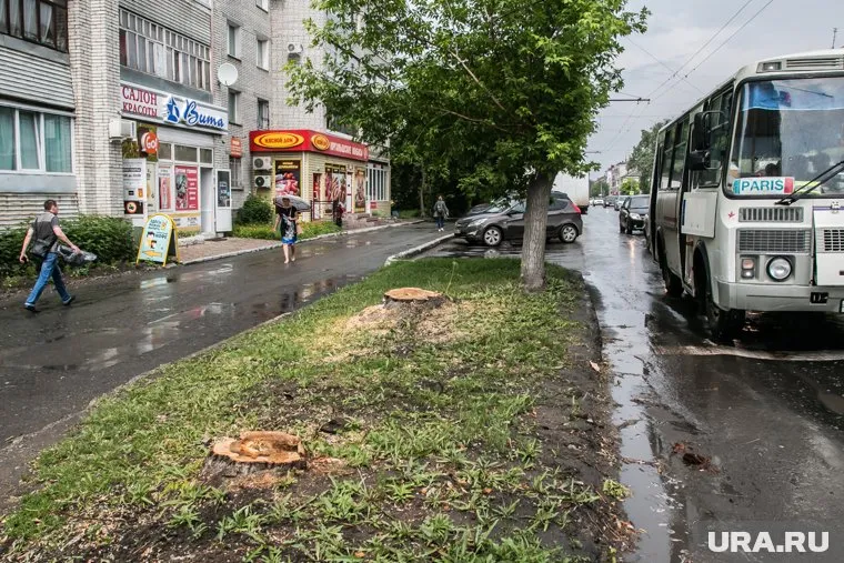 Курганцы возмущены тем, что их город с каждым годом «лысеет»