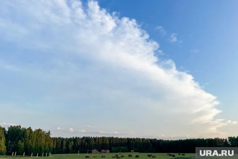 Ямальцы помогут ученым наблюдать за журавлями в небе