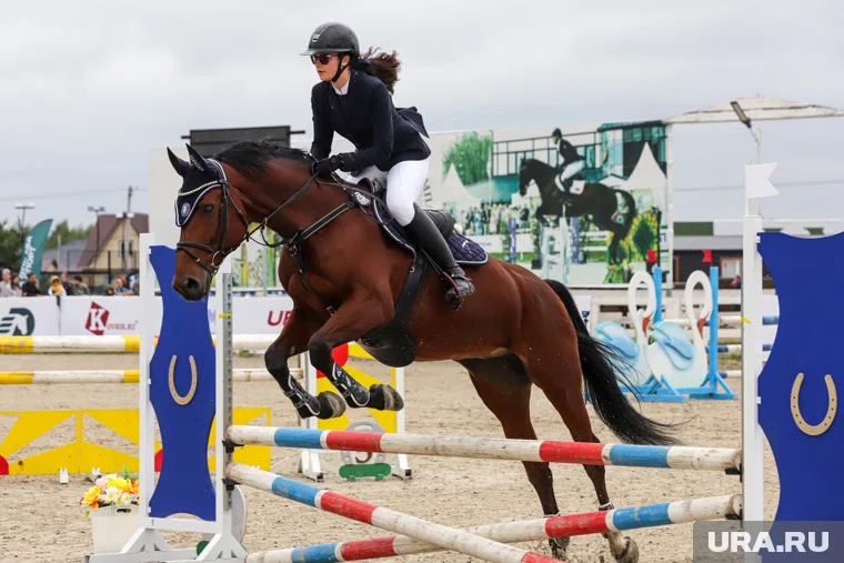 Международная федерация конного спорта допустила спортсменов из России и Белоруссии