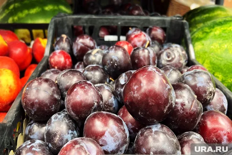 Нектарины и сливы с вредителем попадут на прилавки