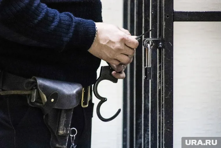 Обвиняемым в организации незаконной web-студии смягчили меру пресечения