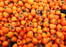 Россиянам подсказали, как не ошибиться в выборе хурмы