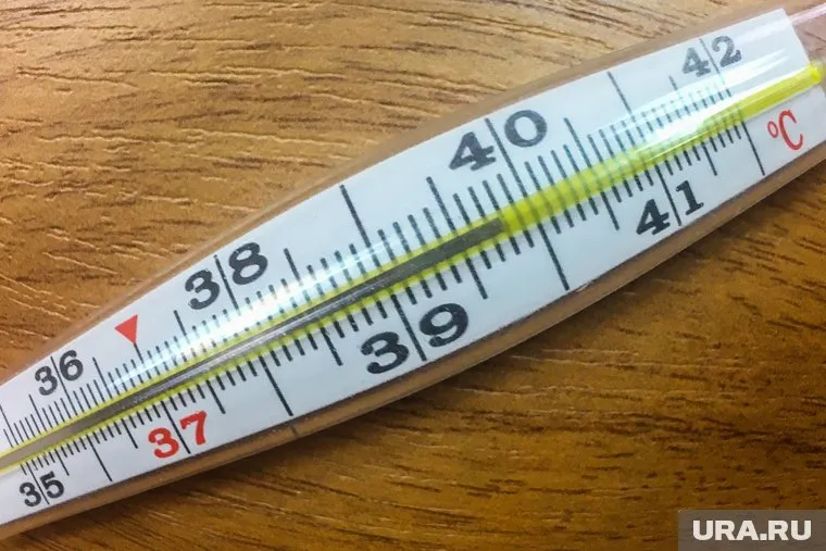 Всем сотрудникам предприятия измеряют температуру тела