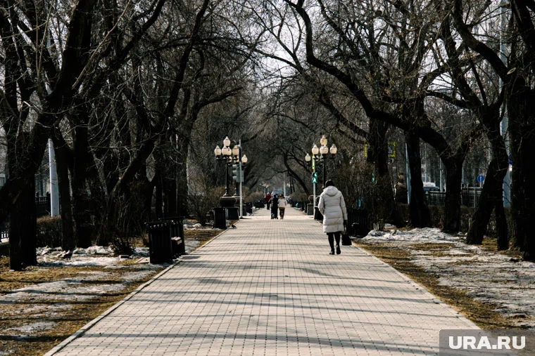 На улице установят две остановки общественного транспорта (архивное фото)