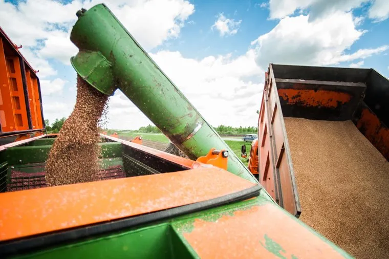 Посевные работы в Свердловской области. Богдановичский район, село Байны