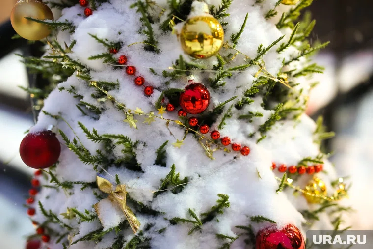 Санатории начали предлагать новогодние туры курганцам