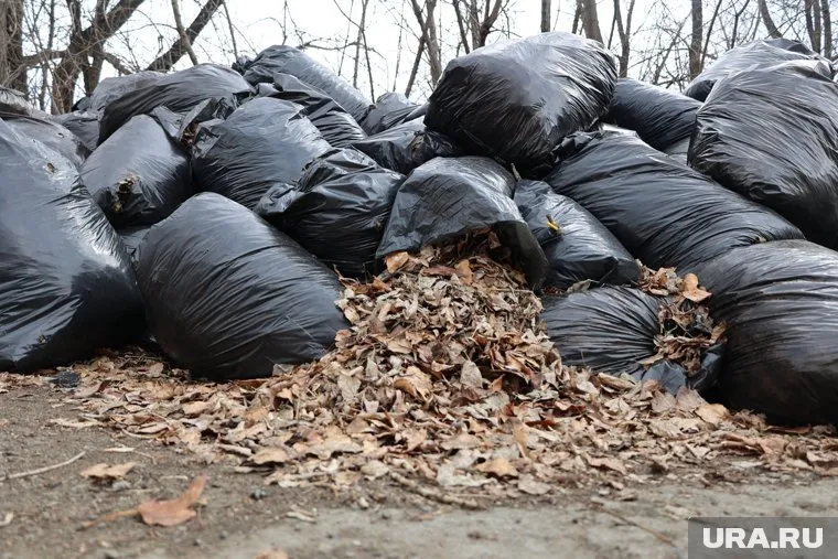 Жители Шадринска Курганской области жалуются на свалки мусора по всему городу