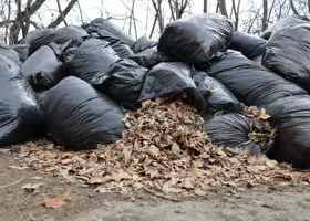 Жители курганского города жалуются на свалки, из-за которых возникают пожары