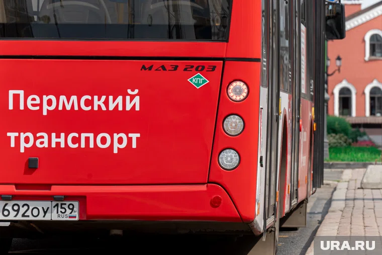 Для депутатов организуют выездное заседание комитета