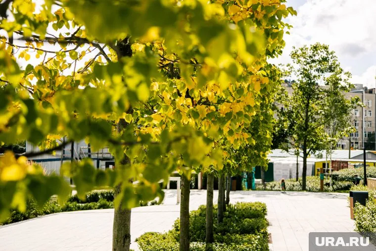 Создатели новой зеленой зоны постараются сохранить природу в первозданном виде