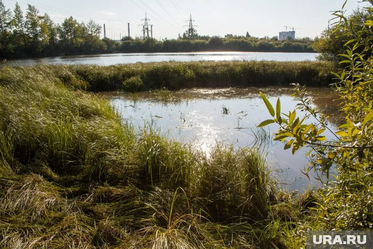 Мальчик пришел к озеру Оброчное, чтобы порыбачить