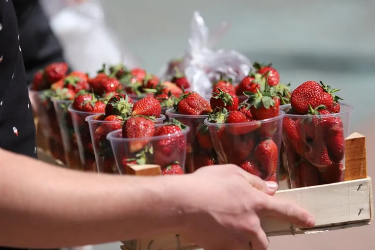 День детей. Курган