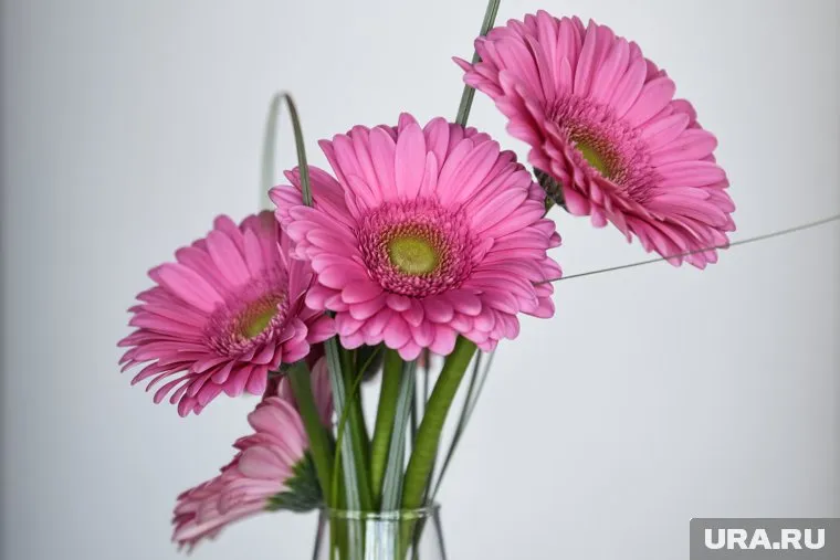 Букеты на День матери в Тюмени подорожают в среднем на 5-7%