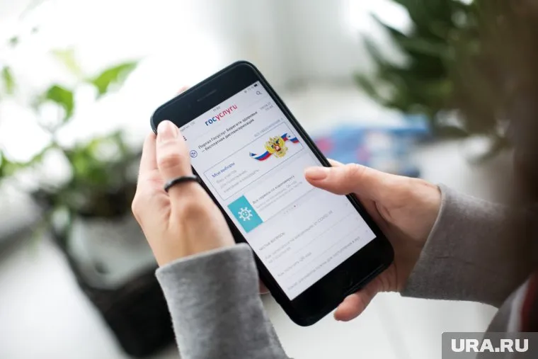 В России будет собрана рабочая группа для улучшения механизмов наблюдения за ДЭГ