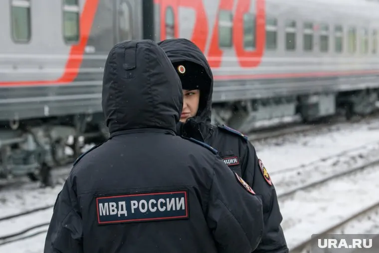 Дебошира задержали полицейские в Тюмени (архивное фото)