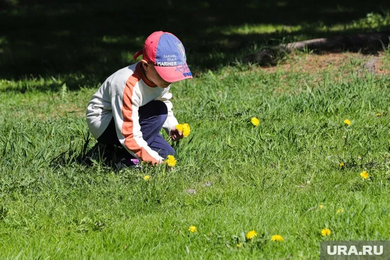 В Перми судебные приставы спасли ребенка от похищения (фото из архива)