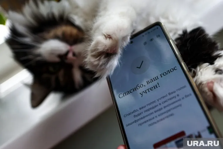 Интерес пермяков к новым формам голосования вырос