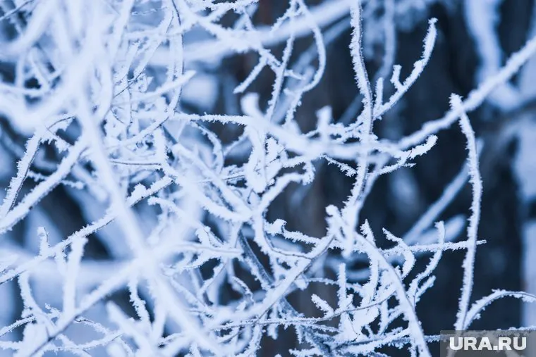 Похолодание в регионе ожидается ночью 18 и 19 ноября