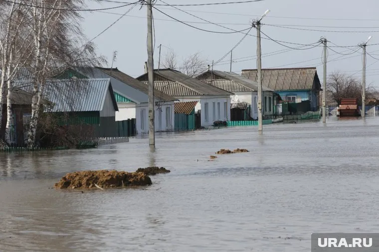 Село Абатское под Тюменью может затопить на 50%