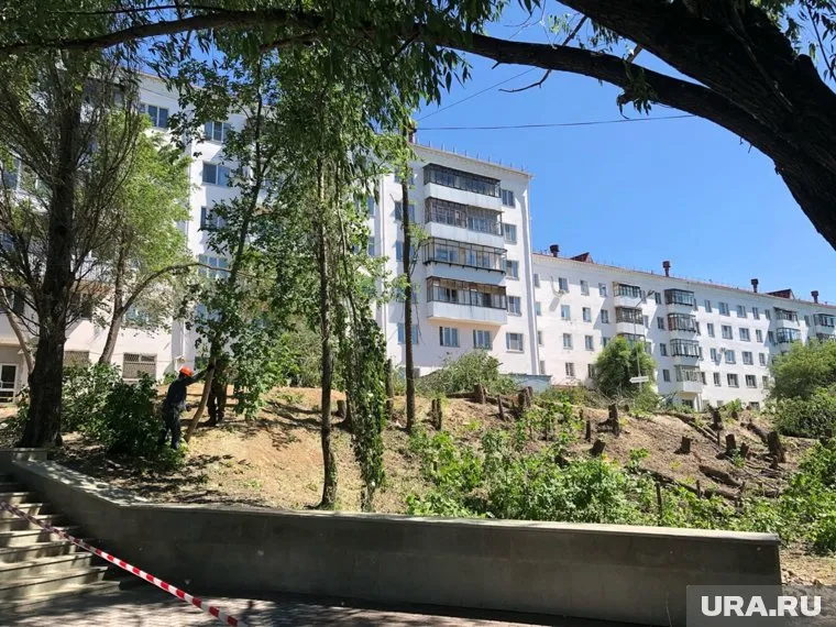 В курганском центральном парке началась массовая вырубка деревьев