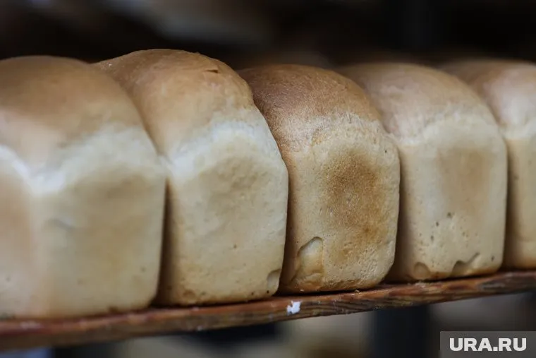 На территории Газы работают только пять из 23 пекарен