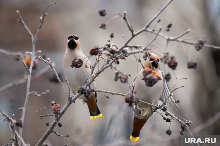 Что можно отметить 29 сентября 2025 года