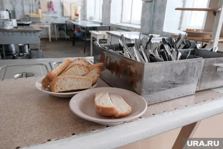 В школьных столовых Кургана — дефицит работников