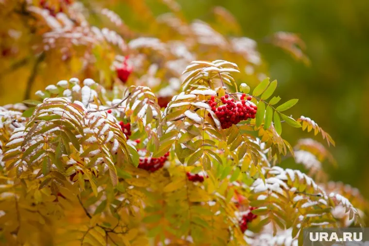 Осадки стали неожиданностью для жителей региона (фото из архива)