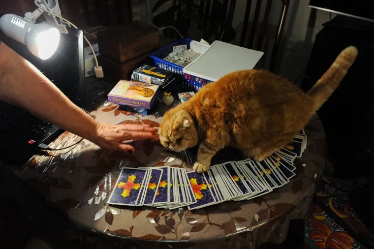 Гадание на ВИП. Челябинск