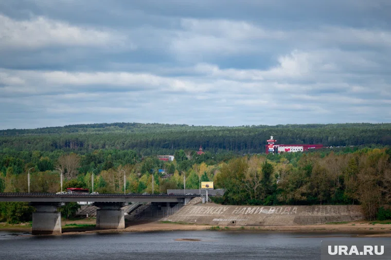 Молодые люди гуляли в лесу на правом берегу Камы